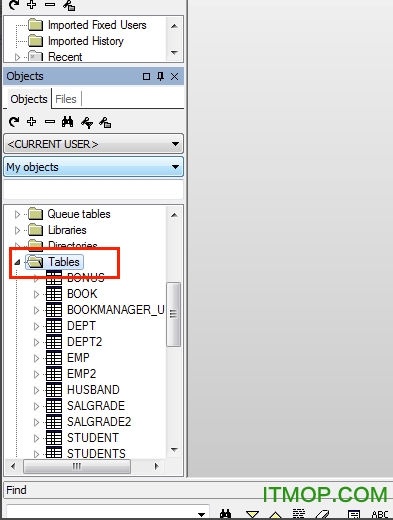 PL/SQL Developer