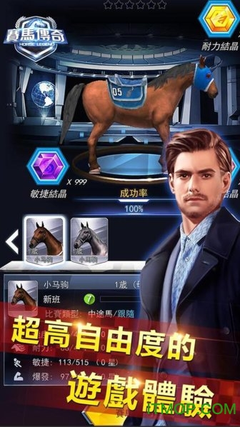 赛马传奇手游