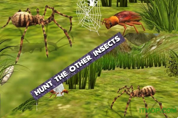 终极蜘蛛模拟器(Ultimate Spider Simulator)v1.2 安卓版