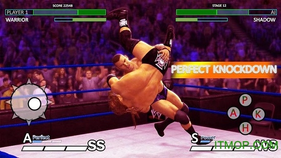 摔跤大联盟职业对抗赛(World Tag Team)v1.6 安卓版