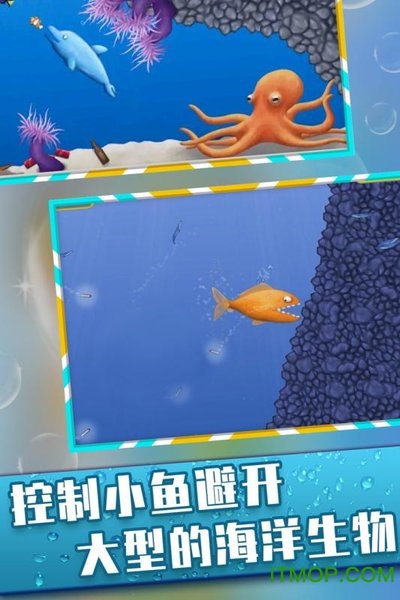 美味深蓝完全版v2.0.3 安卓版