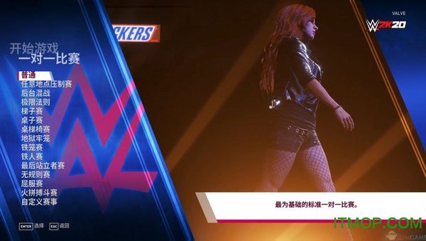 WWE2K20十三项修改器v1.0 风灵月影版