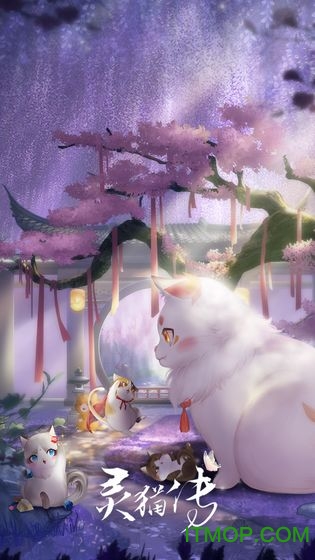灵猫传九游版最新