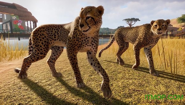 动物园之星七项修改器(Planet Zoo)v1.0.1 风灵月影版