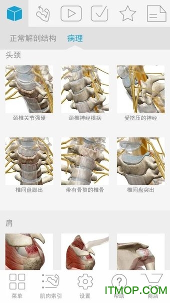 Muscle Premium肌肉骨骼app