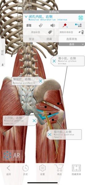 人体解剖学图谱苹果版v2020.2.18 iPhone版