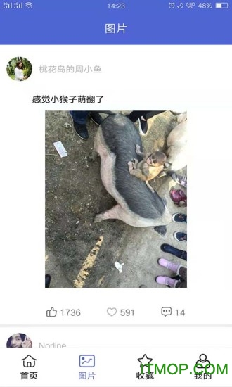 沙雕合集v2.5.4 安卓版