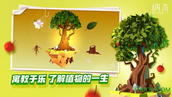 纳木游戏