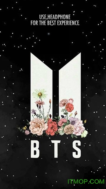 bts钢琴瓷砖游戏(Piano Tiles BTS 2019)v1.0 安卓最新版