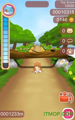 可爱宠物狗狗(Cute Pet Puppies)v1.0.4 安卓版
