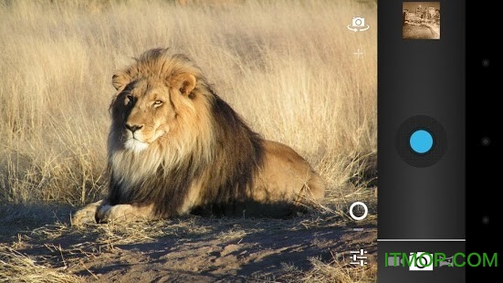 ICS相机(Camera ICS)v1.7.0 安卓版