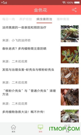 金花助手最新版v1.0 安卓版