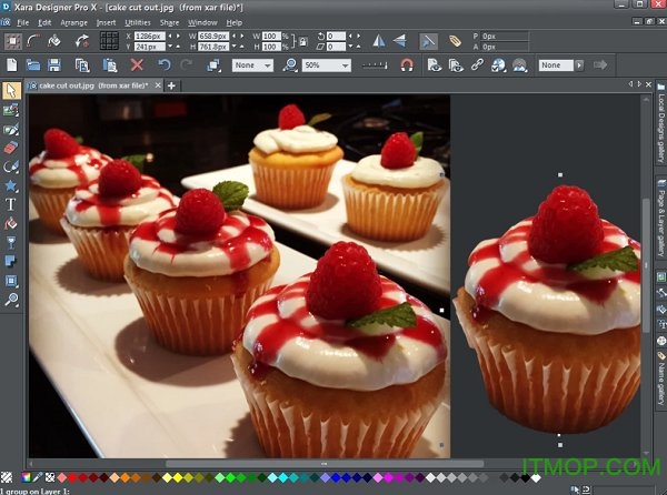 xara designer pro