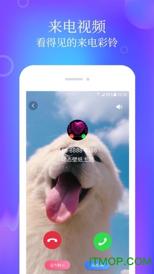动态壁纸主题v1.0.0 安卓版