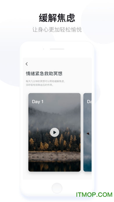 大象冥想