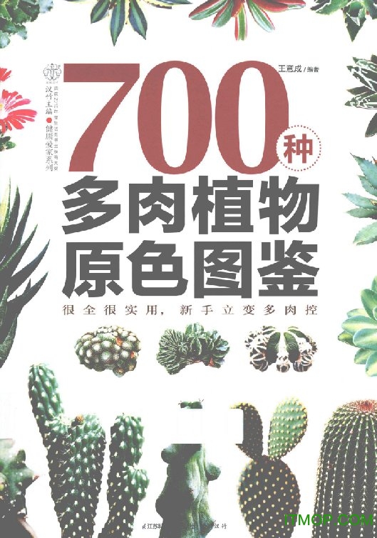 700种多肉植物原色图鉴(王意成著)完整版