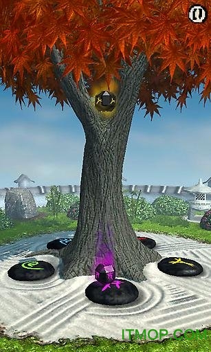 禅修(Zen Training)v1.0 安卓版