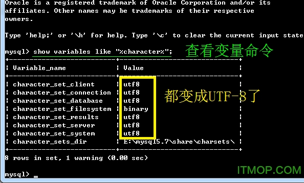 mysql数据库绿色版