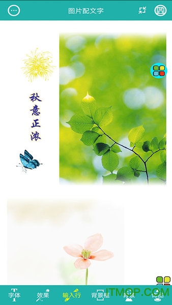 图片文字长图相册v1.1.5.519 安卓版