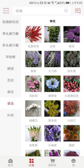 青怡坊花卉v1.0.0 安卓版