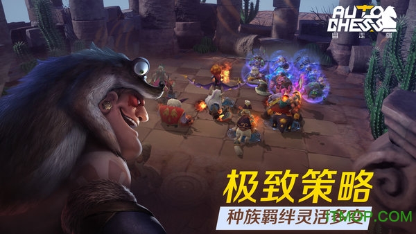 多多自走棋正版v2.12.3 安卓版