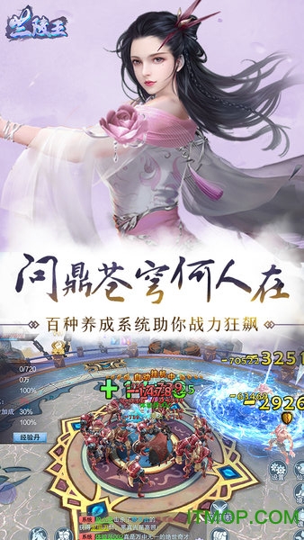 兰陵王游戏网易版下载