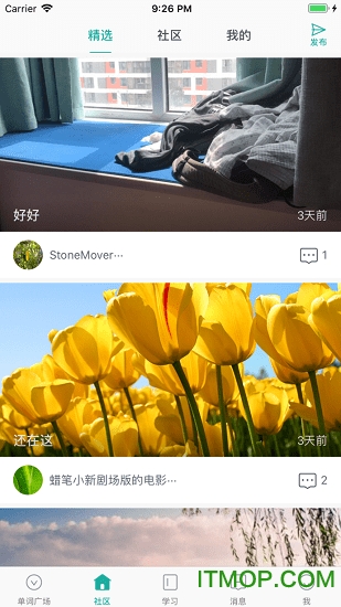 碰词儿app下载