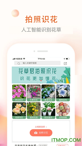花草君