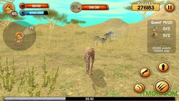 猎豹模拟器游戏最新版(cheetah sim)v1.1 安卓版