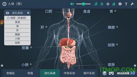 人体解剖3D模型v66.666 安卓版