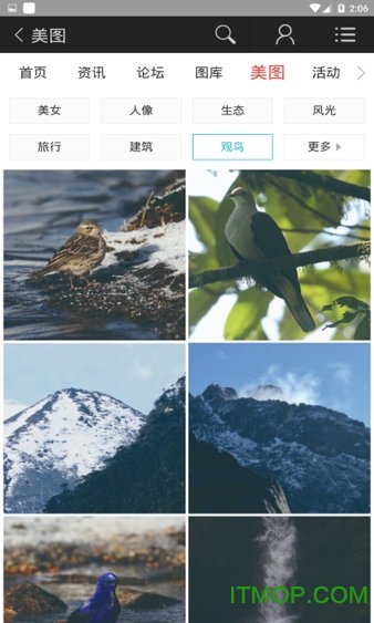 蜂鸟图库v2.1.0 安卓版
