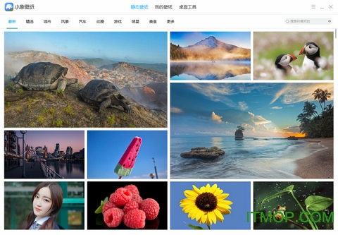 小象壁纸