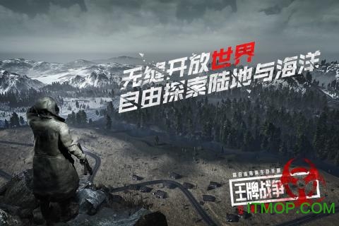 王牌战争电脑版