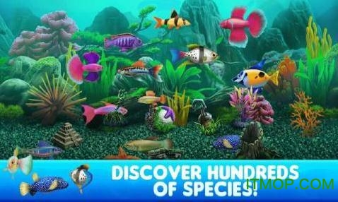 点点鱼缸2(Fish Tycocn 2)v1.10.9 安卓版