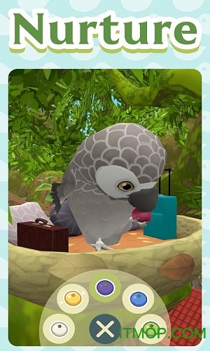 梦想建筑师(birdbnb)v0.8 安卓版