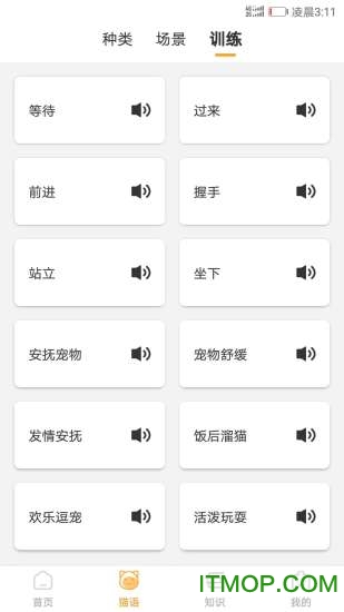 猫咪翻译器免费破解版v1.7.0安卓版