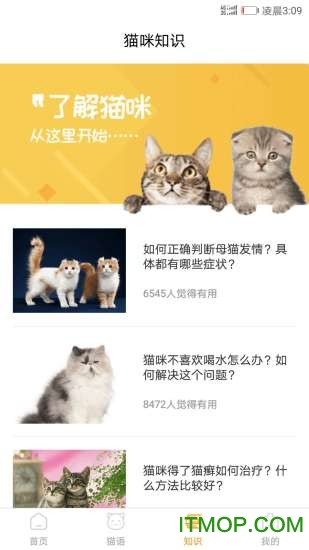 猫咪翻译器appv1.7.0安卓版