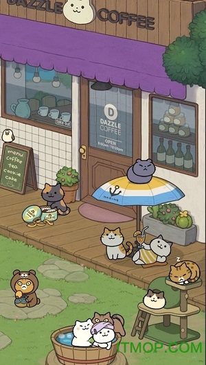 神秘猫咪字典破解版
