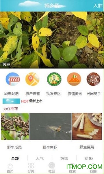 城乡桥app