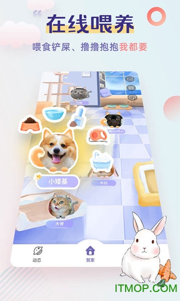 半侣云养宠app