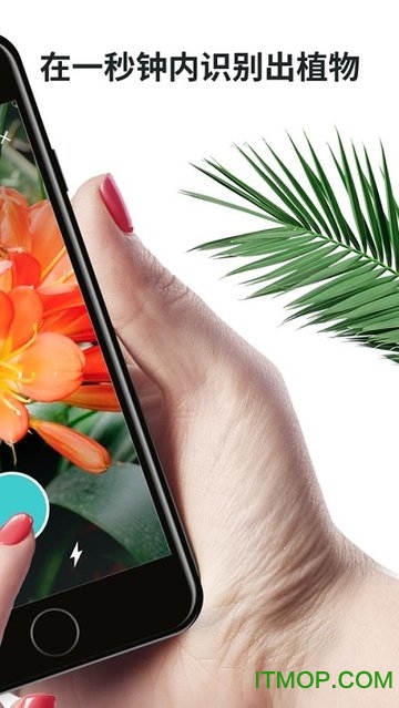 plantnet植物识别v3.1.5 安卓版