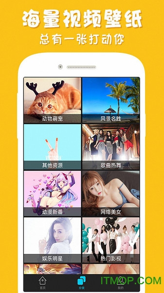 安卓主题壁纸appv9.0.9 安卓版