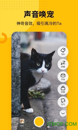 爪叽app