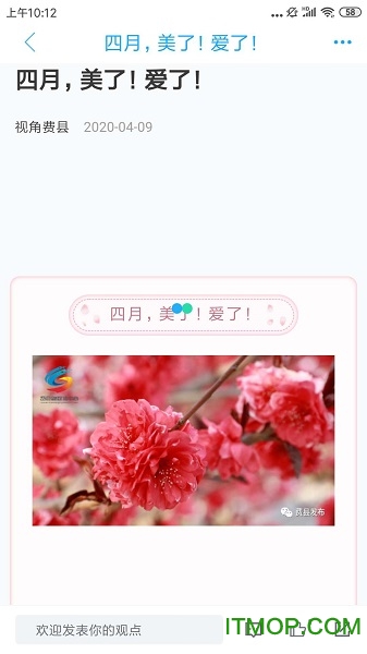 视角费县app