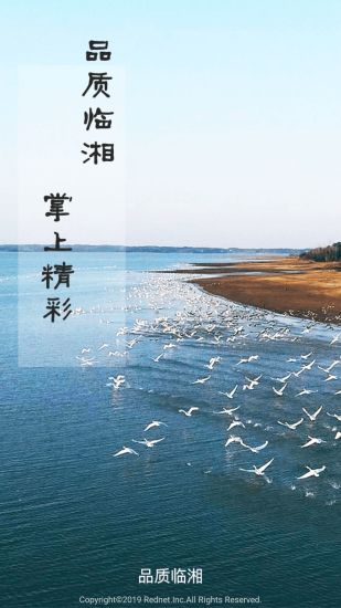 品质临湘v3.2 安卓版