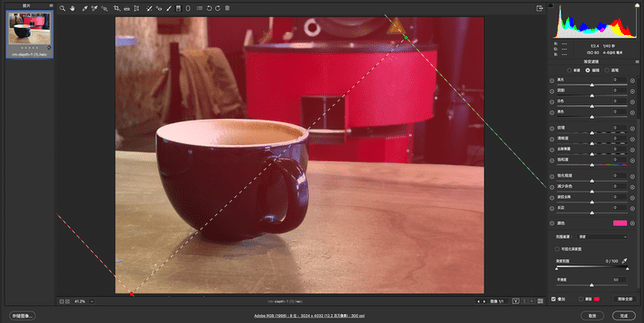 Adobe Camera Raw安装
