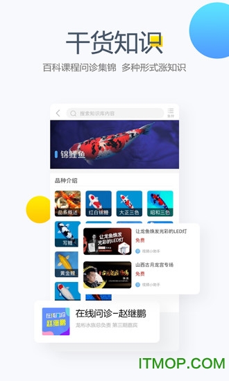 龙巅锦鲤鱼论坛v7.0.5安卓版