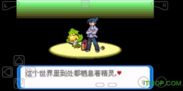 口袋妖怪圣灰自带修改器手机版v1 安卓版