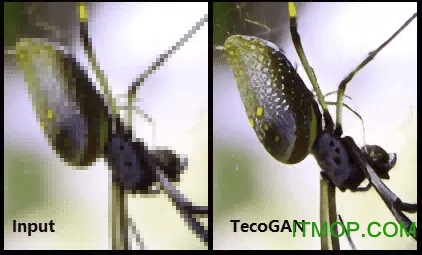 tecogan appv1.0.0 安卓版