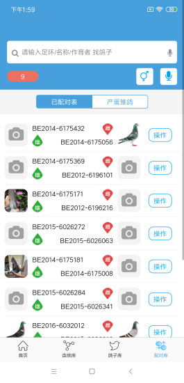 赛鸽云app下载